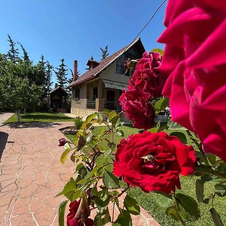 Villa Katerina Nea Kallikrateia Zewnętrze zdjęcie