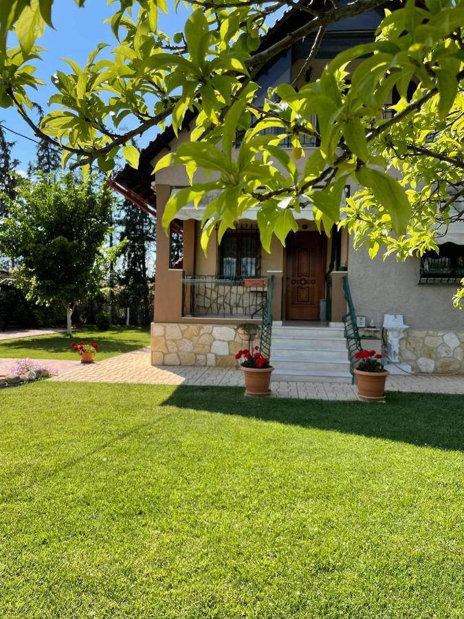 Villa Katerina Nea Kallikrateia Zewnętrze zdjęcie