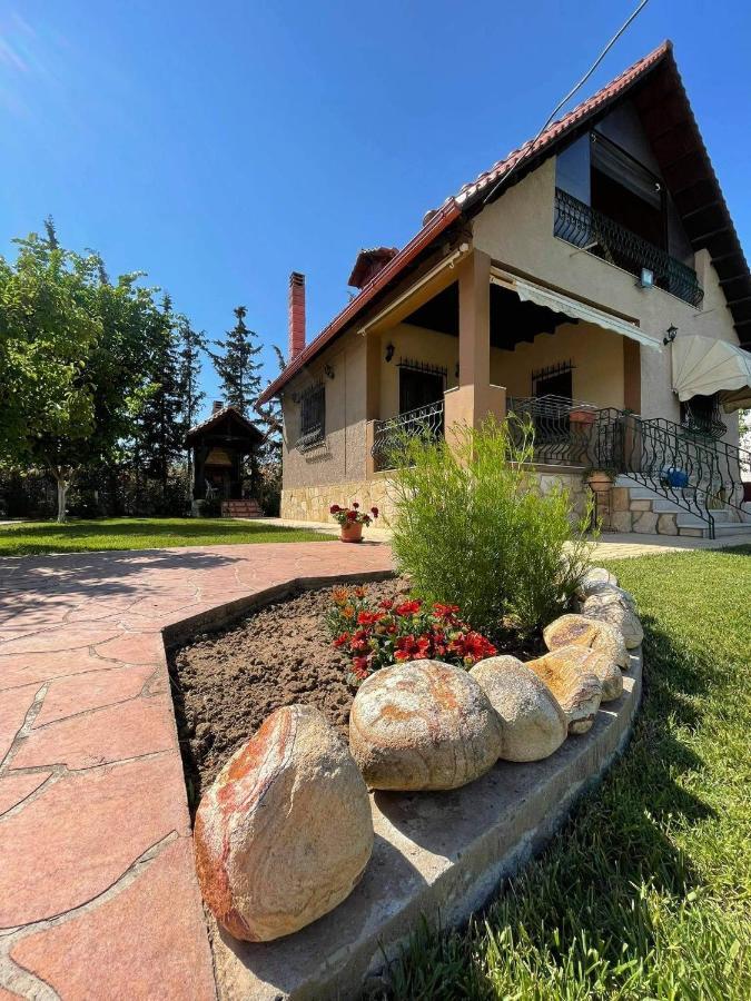 Villa Katerina Nea Kallikrateia Zewnętrze zdjęcie