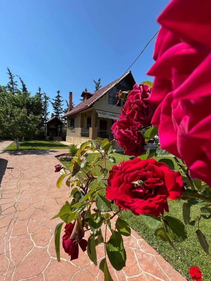Villa Katerina Nea Kallikrateia Zewnętrze zdjęcie