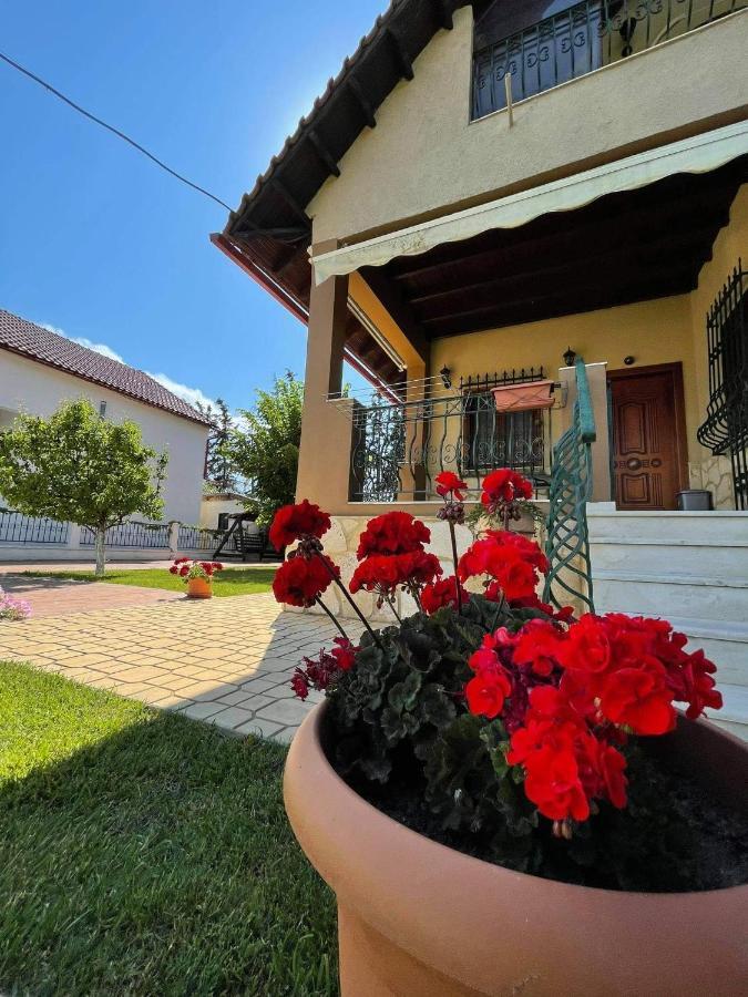 Villa Katerina Nea Kallikrateia Zewnętrze zdjęcie