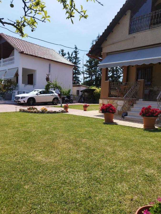 Villa Katerina Nea Kallikrateia Zewnętrze zdjęcie